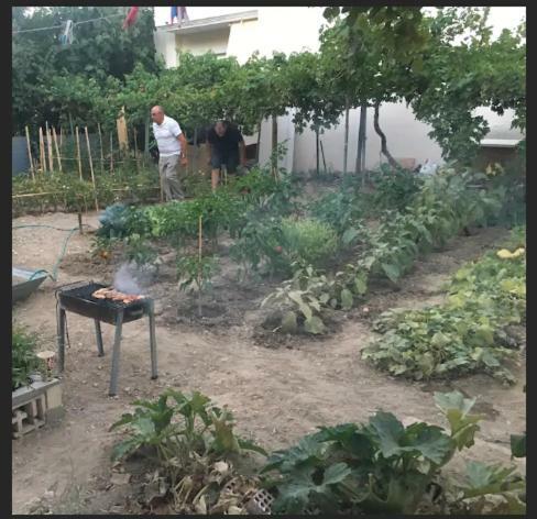 Appartamento Penelope Vrontádos Esterno foto